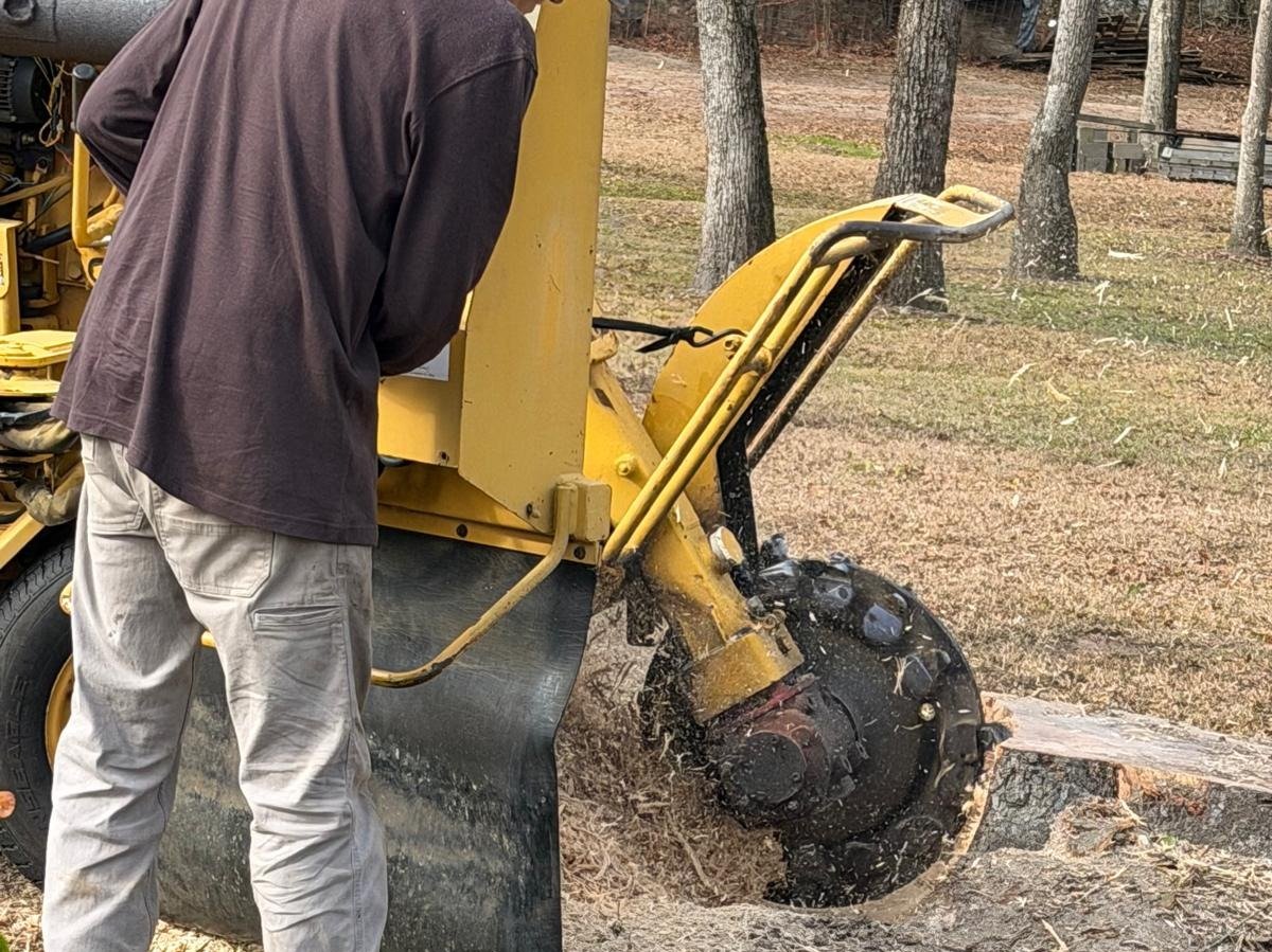 El Costeño Tree Service LLC